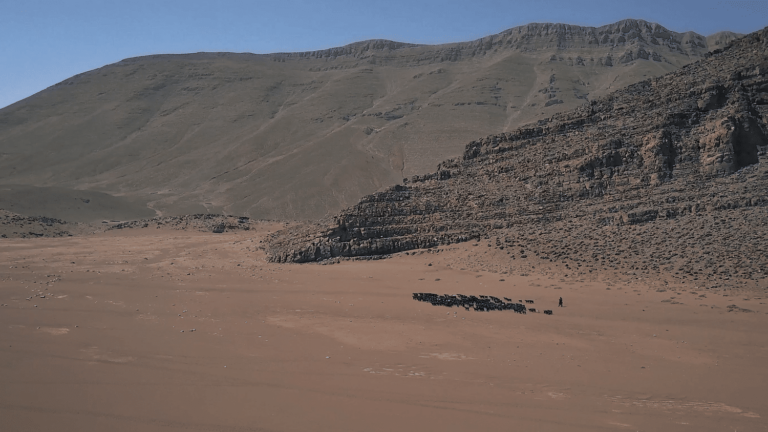En transhumance sur les hauts plateaux de l’Atlas marocain
          Voici le récit de voyage de Louise Thaller qui a partagé le quotidien d’un berger nomade au Maroc.